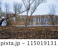 滋賀県高島市の春の針江浜湖畔風景です 115019131