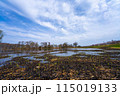 滋賀県高島市の春の針江浜湖畔風景です 115019133
