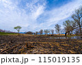 滋賀県高島市の春の針江浜湖畔風景です 115019135
