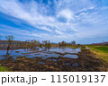 滋賀県高島市の春の針江浜湖畔風景です 115019137