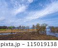滋賀県高島市の春の針江浜湖畔風景です 115019138
