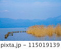 滋賀県高島市の春の針江浜湖畔風景です 115019139