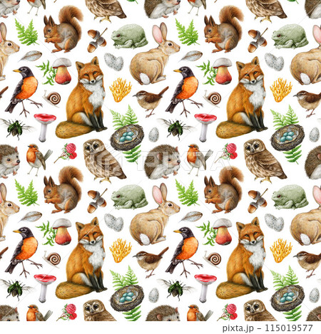Forest animals with natural elements seamless pattern. Hand drawn watercolor illustration. Vintage style forest animals, birds, natural elements, mushroom, fern, grass seamless pattern 115019577