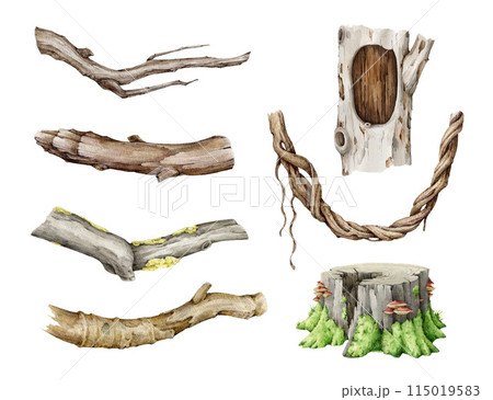 Wooden natural elements painted set. Watercolor illustration. Hand drawn branch, twig, hollow timber, vine, stump natural element collection. Tree parts on white background Wooden natural elements painted set. Watercolor illustration. Hand drawn branch, twig, hollow timber, vine, stump natural element collection. Tree parts on white background 115019583