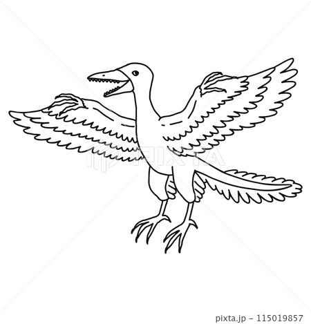 始祖鳥・シソチョウ・線画 115019857