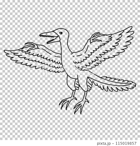 始祖鳥・シソチョウ・線画 115019857