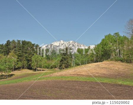 新緑の中山高原から望む残雪の北アルプス 115020002