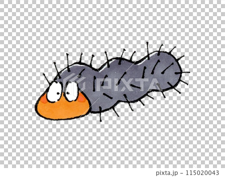 毛虫 115020043
