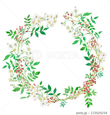 野ばらの花と実のリースの水彩イラスト 野ばらの花と実のリースの水彩イラスト 115020258
