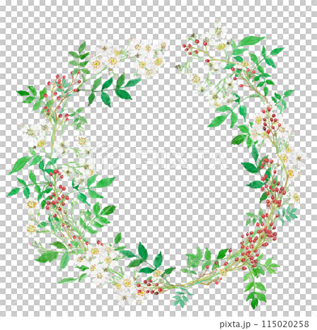 Watercolor illustration of a wreath of wild rose flowers and berries Watercolor illustration of a wreath of wild rose flowers and berries 115020258