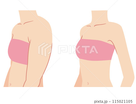 巻き肩の二の腕と、正しい姿勢の二の腕　比較 115021105