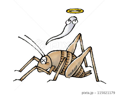 死んだカマドウマ 死んだカマドウマ 115021179