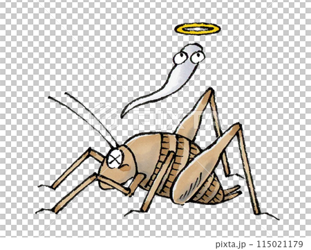 死んだカマドウマ 死んだカマドウマ 115021179