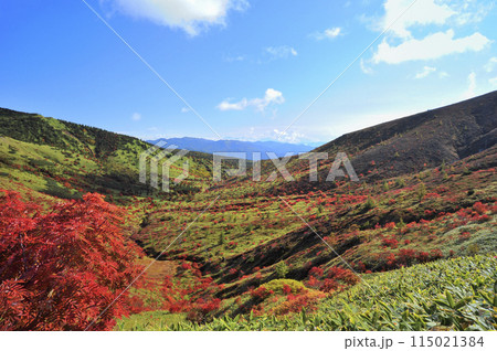 草津白根山の紅葉 草津白根山の紅葉 115021384