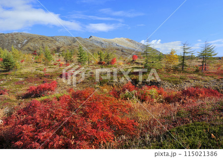 草津白根山と紅葉 115021386
