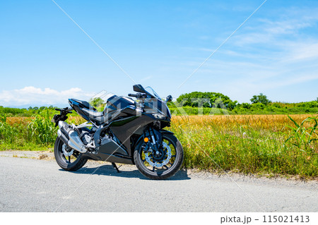 初夏のバイクツーリング 麦畑が広がる平原と青空　b-1 115021413