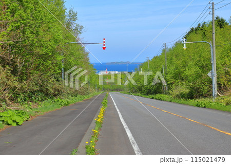 礼文島 道路の先に見えるトド島 礼文島 道路の先に見えるトド島 115021479