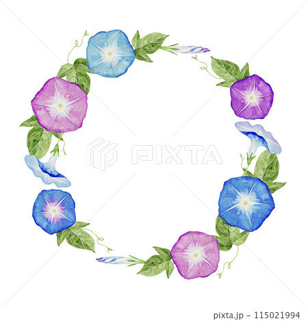 朝顔 夏 花 フレーム リース 水彩 イラスト 朝顔 夏 花 フレーム リース 水彩 イラスト 115021994