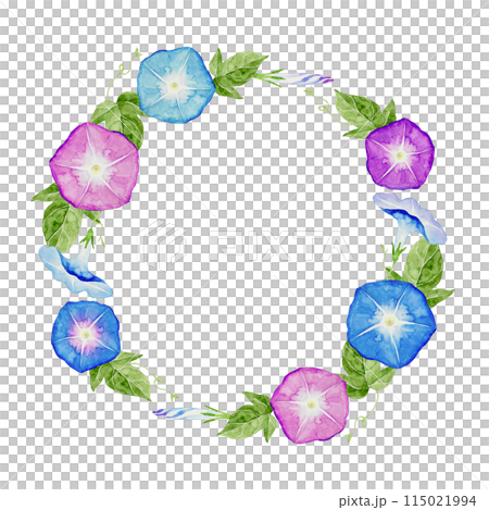朝顔 夏 花 フレーム リース 水彩 イラスト 朝顔 夏 花 フレーム リース 水彩 イラスト 115021994