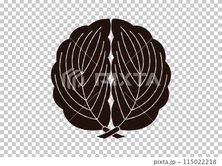 Holding a cypress 115022218