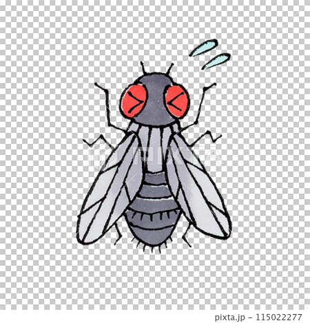Annoying Flies Annoying Flies 115022277
