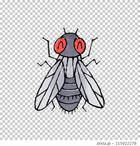 快樂飛翔 115022278