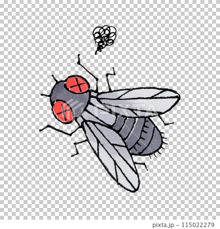 瀕死のハエ 115022279