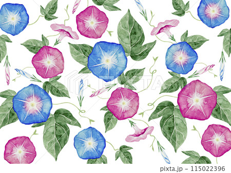 朝顔 夏 花 背景 模様 パターン 水彩 イラスト 朝顔 夏 花 背景 模様 パターン 水彩 イラスト 115022396