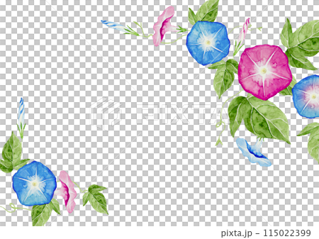 牽牛花夏季花背景框架水彩插圖 115022399