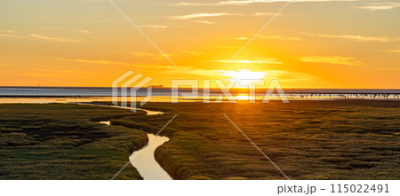 日没時の高美湿地 夕暮れ 台中市 台湾 日没時の高美湿地 夕暮れ 台中市 台湾 115022491