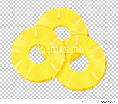 Hand drawn watercolor cut pineapple illustration 115022537