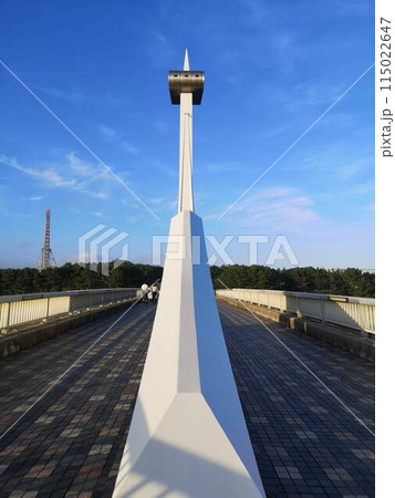 葛西臨海公園から葛西海浜公園に架かる葛西渚橋 115022647