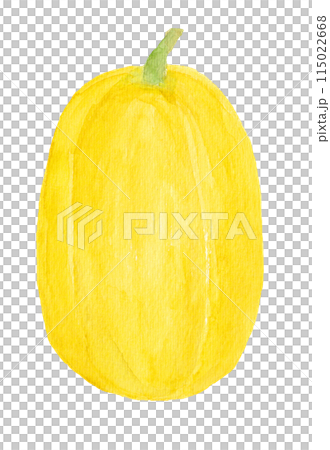 手繪水彩插圖的金百合 115022668