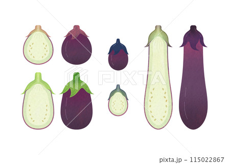 茄子　セット 115022867