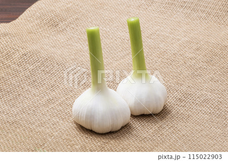 生ニンニク　収穫された生大蒜　穫れたてのニンニク　健康野菜 115022903