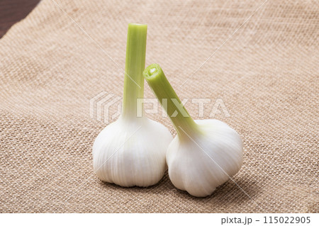 生ニンニク 収穫された生大蒜 穫れたてのニンニク 健康野菜 生ニンニク 収穫された生大蒜 穫れたてのニンニク 健康野菜 115022905