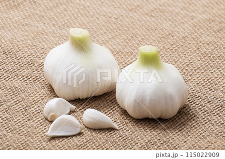 生ニンニク　収穫された生大蒜　穫れたてのニンニク　健康野菜 115022909