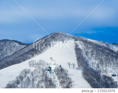 晴天のスキー場山頂 (長野県、斑尾高原) 115022978