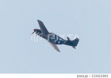 上昇するアメリカ軍P-51Dムスタング戦闘機 115022983