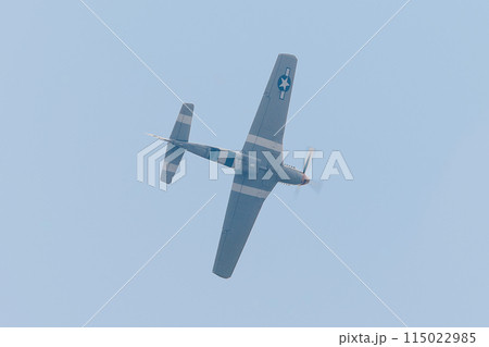 頭上のアメリカ軍P-51Dムスタング戦闘機 頭上のアメリカ軍P-51Dムスタング戦闘機 115022985