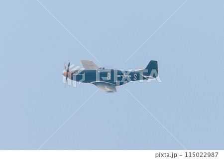 アメリカ軍P-51Dムスタング戦闘機 アメリカ軍P-51Dムスタング戦闘機 115022987