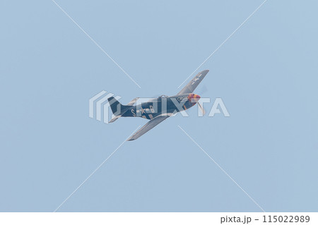アメリカ軍P-51Dムスタング戦闘機 アメリカ軍P-51Dムスタング戦闘機 115022989