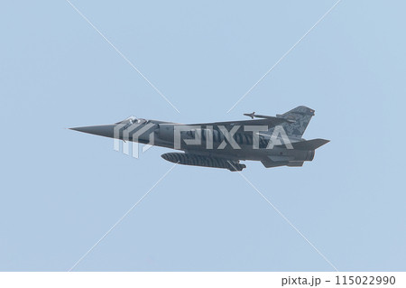 スペイン空軍ミラージュF1M戦闘機 115022990