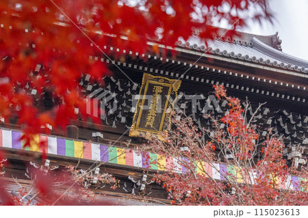 くろ谷 金戒光明寺 紅葉に包まれた山門 くろ谷 金戒光明寺 紅葉に包まれた山門 115023613
