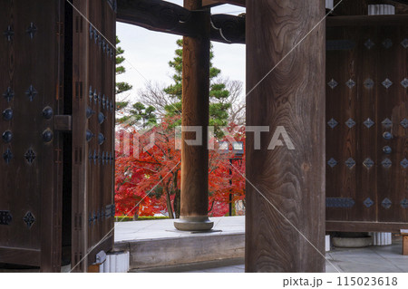 くろ谷　金戒光明寺　紅葉に包まれた山門 115023618