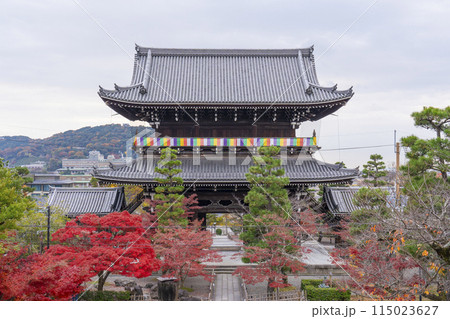 くろ谷　金戒光明寺　紅葉に包まれた山門 115023627