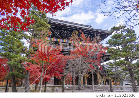 くろ谷 金戒光明寺 紅葉に包まれた山門 くろ谷 金戒光明寺 紅葉に包まれた山門 115023636