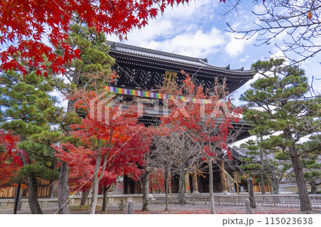 くろ谷 金戒光明寺 紅葉に包まれた山門 くろ谷 金戒光明寺 紅葉に包まれた山門 115023638