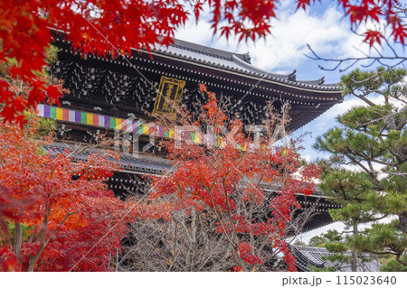 くろ谷　金戒光明寺　紅葉に包まれた山門 115023640