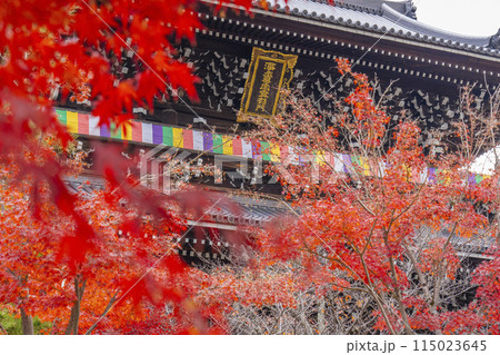くろ谷 金戒光明寺 紅葉に包まれた山門 くろ谷 金戒光明寺 紅葉に包まれた山門 115023645